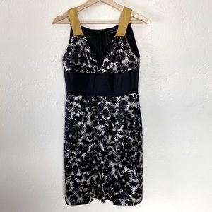 Robert Rodriguez✨Brush Stroke Printed Silk Mini Dress